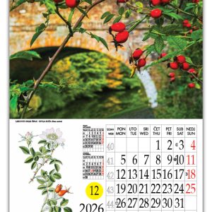 LJEKOVITO BILJE 2026 10 Kalendar ljekovito bilje