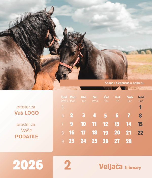 Stolni CD kalendar – 2026 – “Arka” - Slika 3
