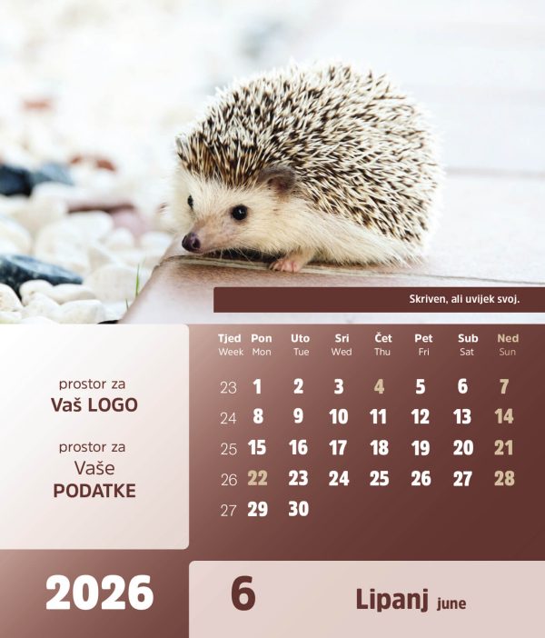 Stolni CD kalendar – 2026 – “Arka” - Slika 7